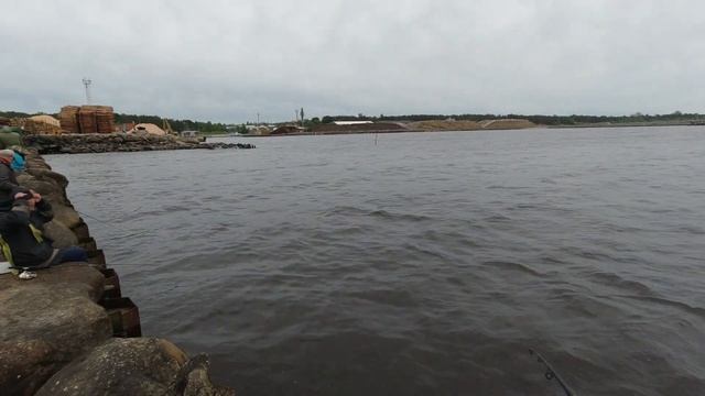 БЫЧОК-КРУГЛЯК.....???ЗВЕНИКЦИЕМС!!!!(кокоапстраде?)20.05.2021 #рыбалканаморе #бычок #рыбалка