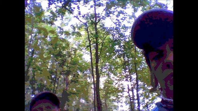 грибы лесопарк смотреть онлайн