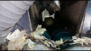 Машина для очистки капусты МОКБ1