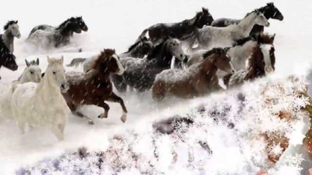 Эта песня смогла поразить Ютуб. Разрывает душу. смотреть онлайн