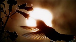 Обзор OLED-телевизора Sony A80K(в сравнении с LG C2) | ABOUT TECH