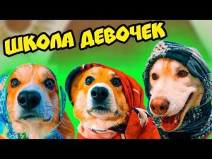 МЫ СНОВА СТАЛИ ДЕВОЧКАМИ и ПОШЛИ В ШКОЛУ!! Хаски Бублик Говорящая собака Mister Booble