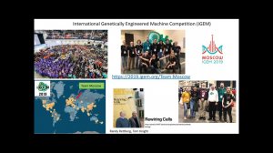 igem2020 meetup