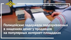 Полицией задержаны подозреваемые в хищениях денег у продавцов на интернет-площадках