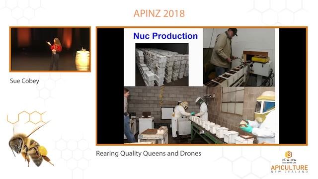 Вывод качественных маток и трутней. Лекция Сьюзан Кобей смотреть онлайн