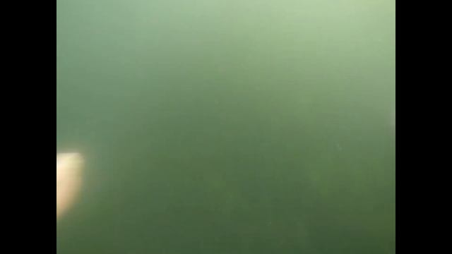 Херсон, Садовое товарищество "Ранок", выход к Днепру смотреть онлайн