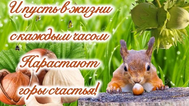 С Ореховым Спасом?С Ореховым Спасом Поздравление?Поздравление с Хлебным Спасом?29 Августа Спас!
