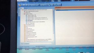 Ford Focus 2 активация круиз контроля