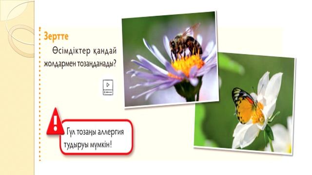 4 класс Жаратылыстану Тақырыбы: Тұқым қалай түзіледі? смотреть онлайн