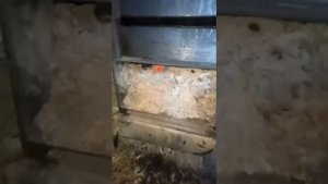 Инструктаж Марка о чистке?Котел длительного горения Польская Жара, Polish Heat