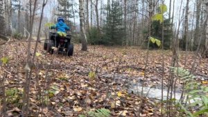 Квадроцикл Avantis Hunter 8. Пилоту 6 лет ;))