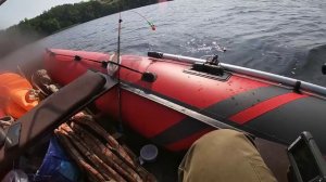 Рыбалка на кольцо. Ловля леща на Волге.