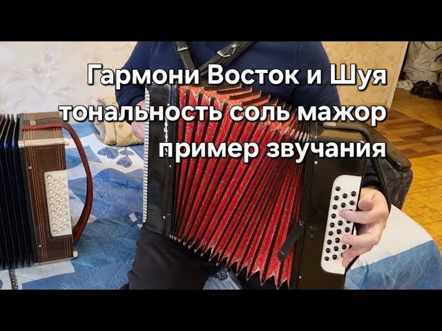Гармонь Восток и гармонь Шуя.