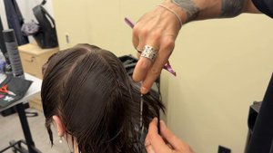 Урок 1 стрижка Mullet коллекция к 10-ти летию TopGun от Александра Кабанова