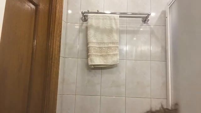 Vlog: у Яны , гуляем с котом , уход за лицом ! 15.04.18 смотреть онлайн