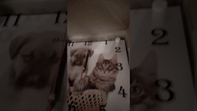 Самое первое видит!!! смотреть онлайн