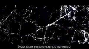 Клип вокалоидов | Благословенный чай