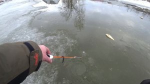 Ловим Сазана (Карпа) зимой со льда! Кайф на тонкую леску такую сильную рыбу! Рыбалка 2024. Vlad TV.