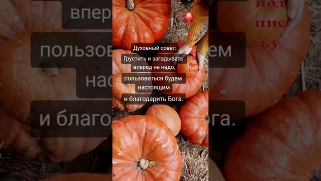 Как обрести радость? Духовный совет.