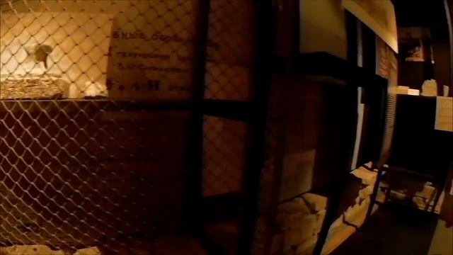 Царицыно. Музеи Хлебного дома и Большого Дворца смотреть онлайн