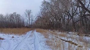 Магнитогорск, территория Притяжения и Лесопарка, замёрзшее озеро Тяпкино (28.11.2021)