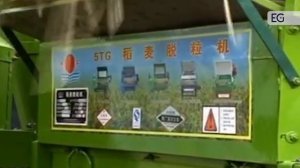 Молотилка для зерна 5-TG70