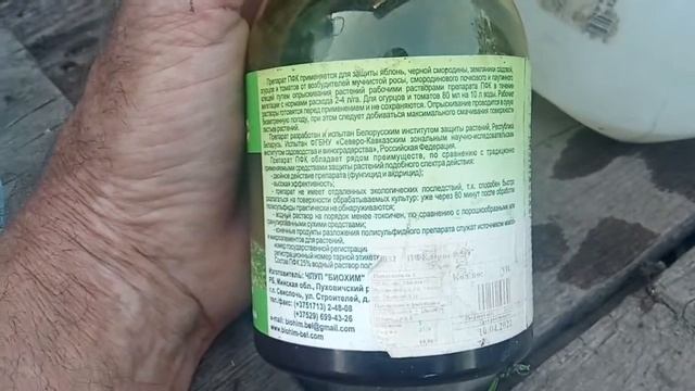Горечь КронПринца и ПФКлерос
