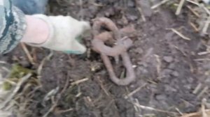 КОП У РЕКИ,НАШЁЛ ЯКОРНУЮ ЦЕПЬ,КОП С МЕТАЛЛОИСКАТЕЛЕМ"NOKTA MAKRO ANFIBIO MULTI" ИЩУ НОВЫЕ МЕСТА!