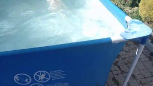 Лабрадор и вода