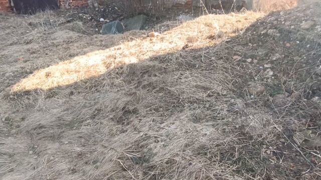 Костел в Княжицах Могилёв и хозпостройки/ руины/ старинные здания #беларусь #могилев #могилёв #мир смотреть онлайн