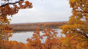 Слушай свой внутренний голос