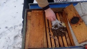 ПОДКОРМКА ПЧЁЛ ЗИМОЙ МЁДОМ.ПЧЁЛЫ В ЯНВАРЕ