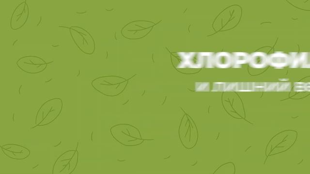 ЗЕЛЕНЫЕ СМУЗИ для похудения: как это работает? + вкусные рецепты смотреть онлайн