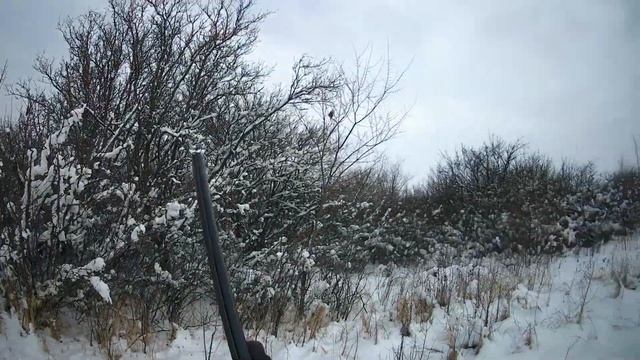 ОХОТА НА ФАЗАНА ПО СНЕГУ смотреть онлайн