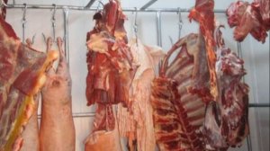 Сколько можно хранить мясо в холодильнике