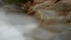 Живет на свете красота...Юрий Антонов.