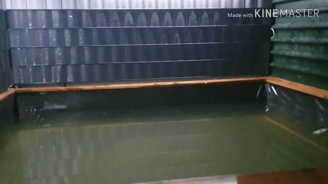 03.01.2020 Русская банька в Германии смотреть онлайн