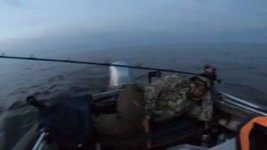 Рыбалка на Судака. Ладога. Креницы, база Горизонт. #судак #ладога #щука #окунь #рыбалка2023