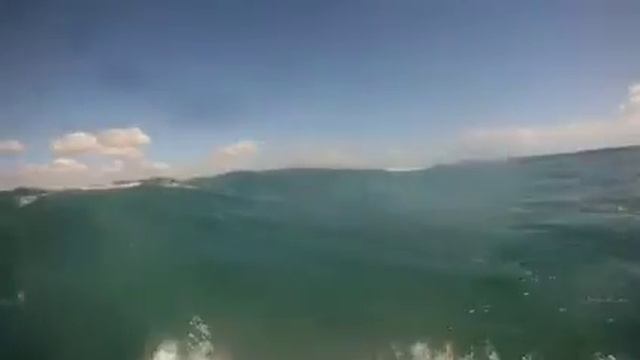 QFWA SHOWDOWN standing on shore смотреть онлайн