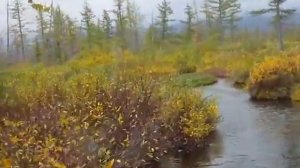 Маленькие реки Таймыра. На аэроглиссере.