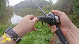 Losing Fish on Expensive Fishing Gear (ft. Shimano Exsense ∞ Infinity & Daiwa Morethan PE TW)