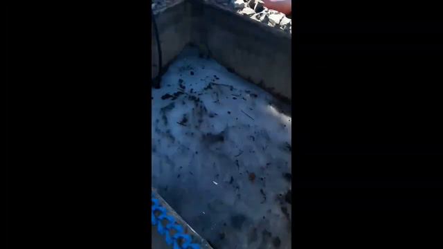 Жизнь на Даче 1