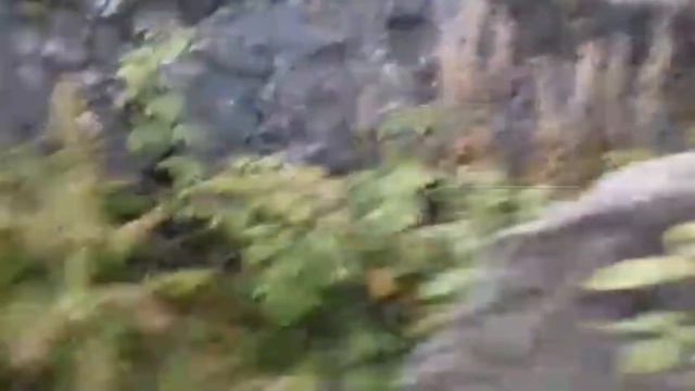 Финские окопы в Карелии/Зубы дракона/На необитаемом острове.