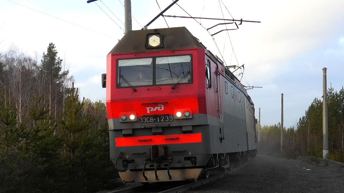 Тройная Синара 2ЭС6-1239 "Синара" с грузовым поездом
