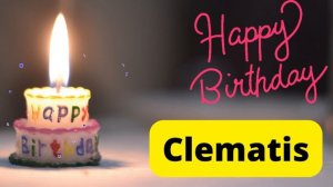 Surprising Clematis with the Best Birthday Wishes!