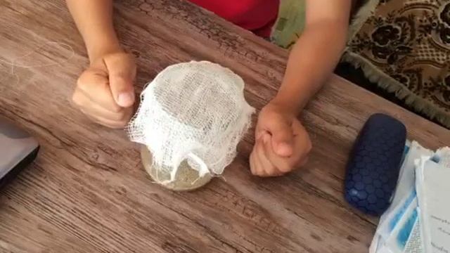 как сделать инкубатор для богомолов. смотреть онлайн