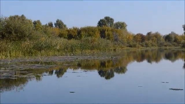Волга, Лысково, рыбалка. Ч2