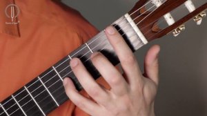 Уроки классической гитары. Элементы пассажной техники. Часть 1. [Дмитрий Нилов]