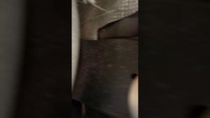 Меняем втулки крепления рулевой рейки Рено Кангу