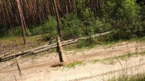 Питбайк Kayo 155